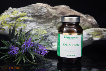 Krillöl Forte 60 Kapseln 