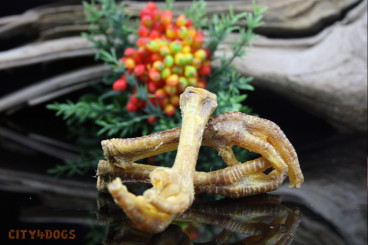 Hendl - Füße Shop Waage