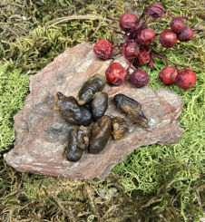 Hühner Herzen getrocknet 200g 