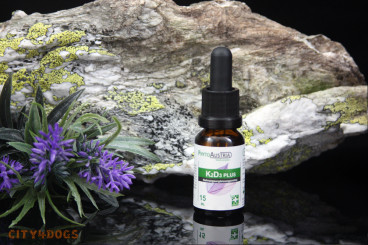 Vitamin K2 + D3 Plus 