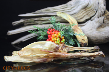 Kaninchenohren Shop Waage