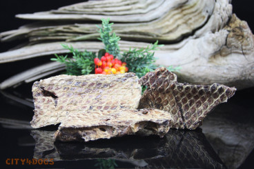 Rinderlunge KG Preis Shop Waage