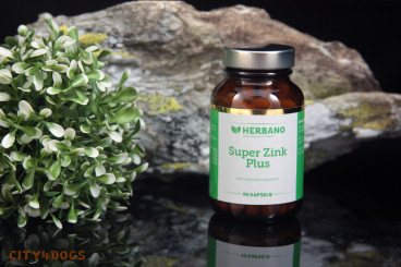 Super Zink Plus 90 Kapseln 