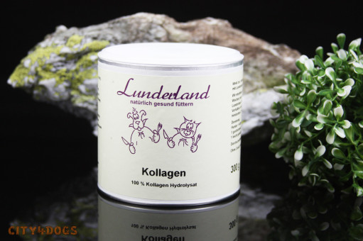 Lunderland-Kollagen 300 g 